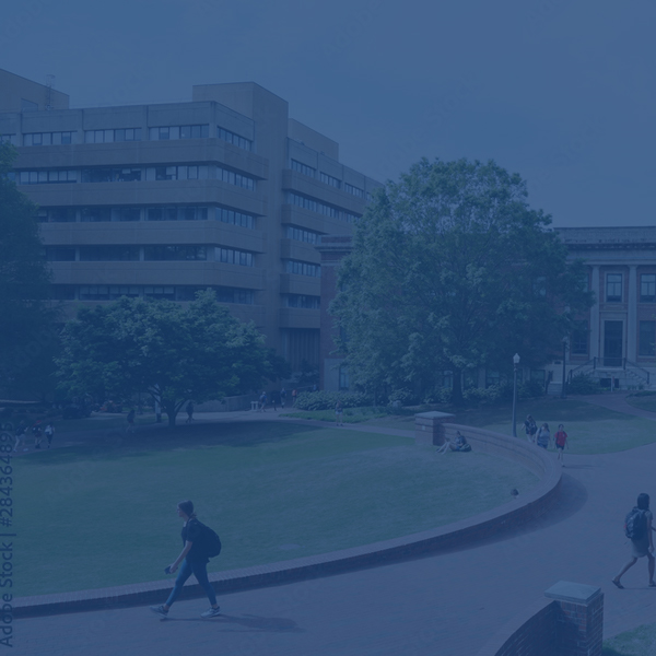 university