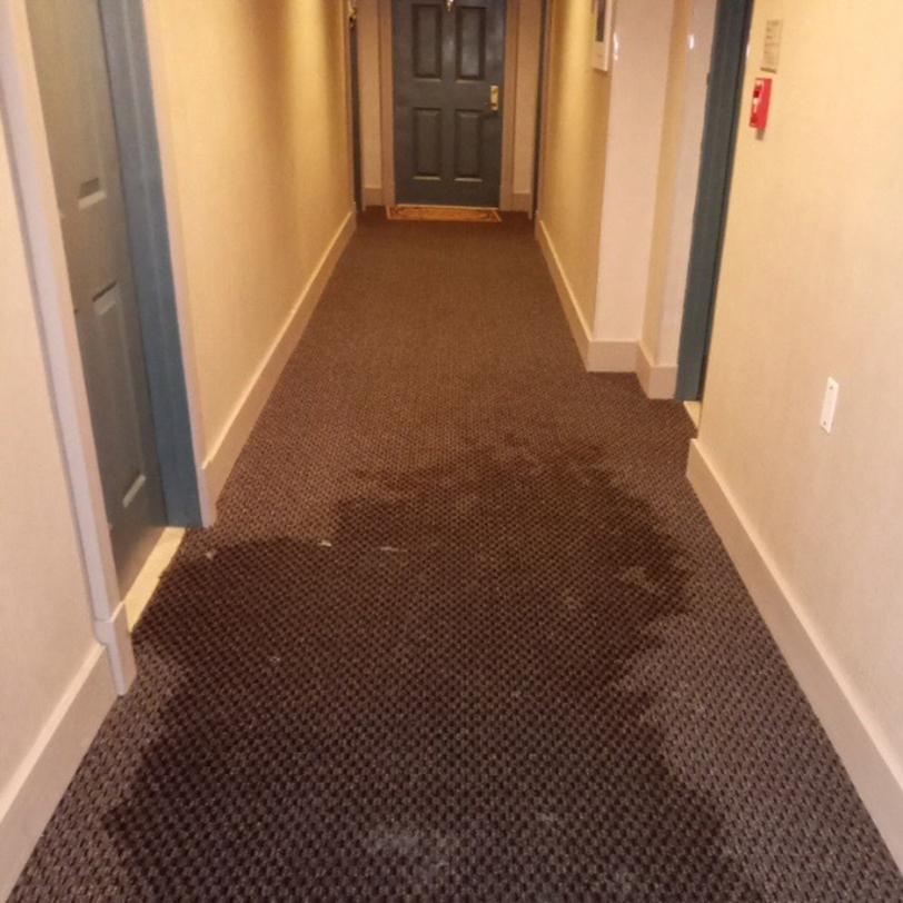 Clean-Advantage-Commerical-Carpet-Cleaning-Apartment-Hallway-Stain