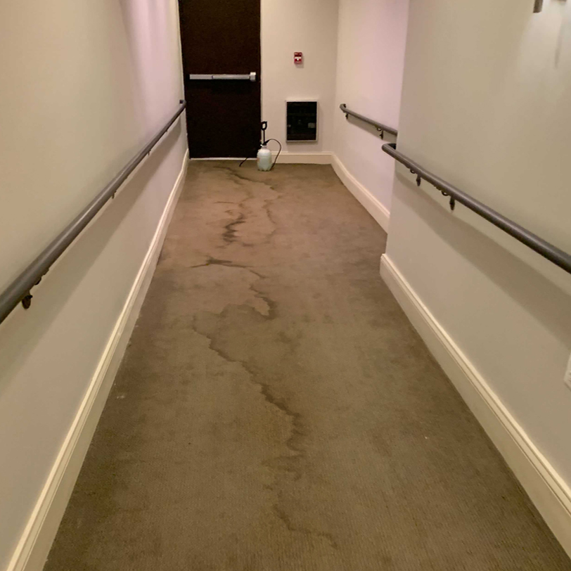 Clean-Advantage-Commerical-Carpet-Cleaning-Building-Hallway-Stain