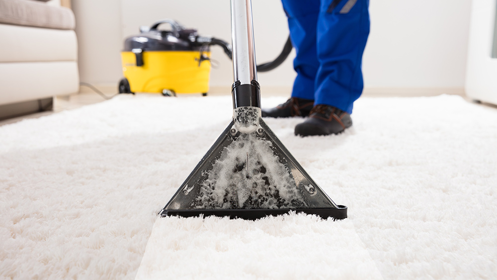 Clean-Advantage-Summer-Carpet-Clean