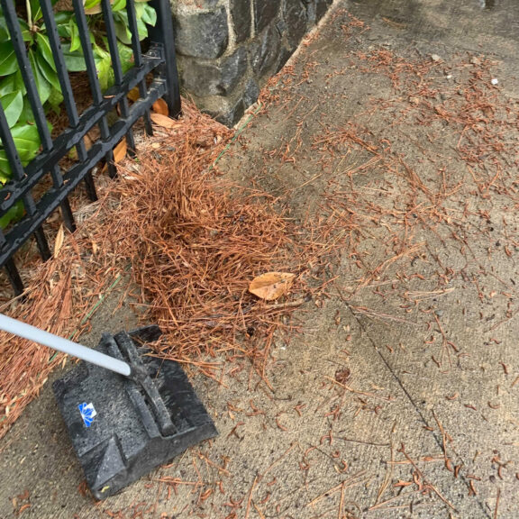 Clean-Advantage-Pool-Clean-Up-Grounds