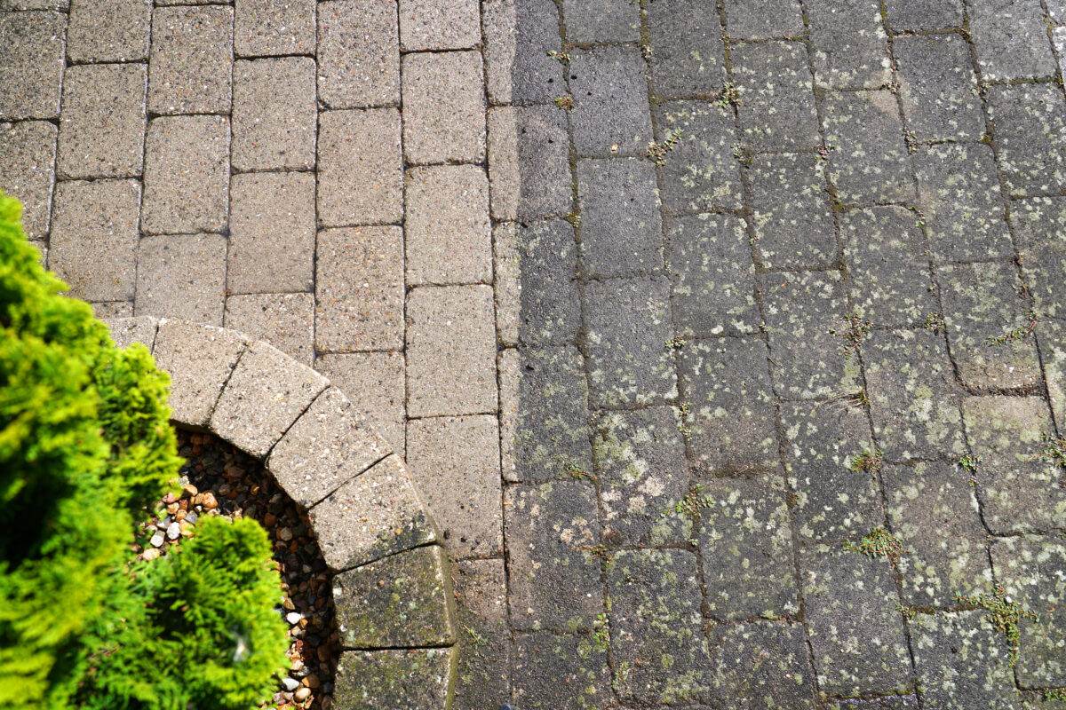 Clean-Advantage-Pressure-Wash-Moldy-Brick-Pathway