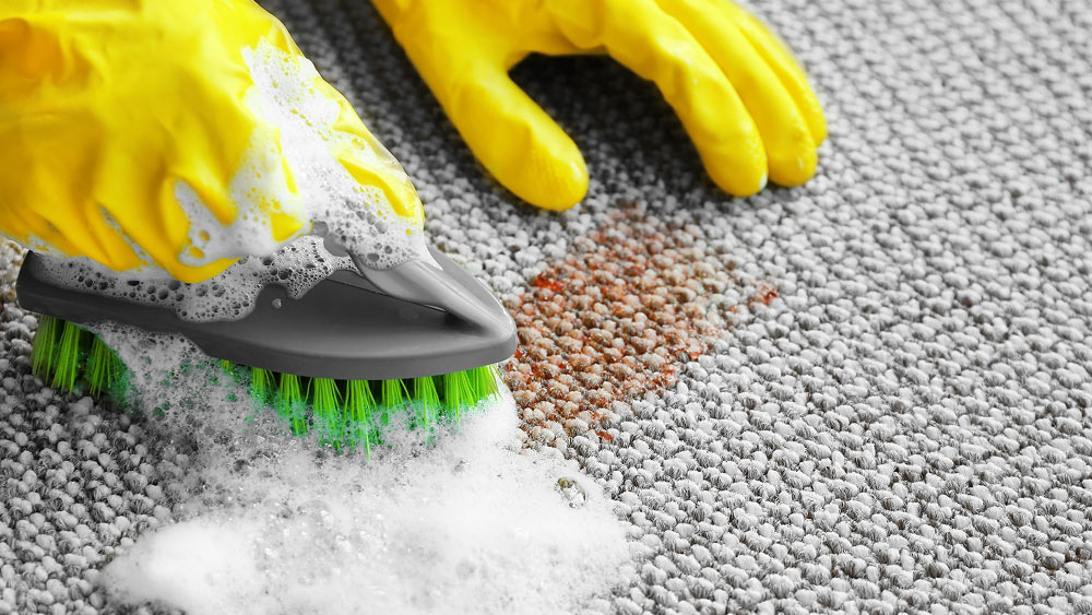 Clean Advantage Comparing Specialty Cleaning Bids Carpet Scrubbing